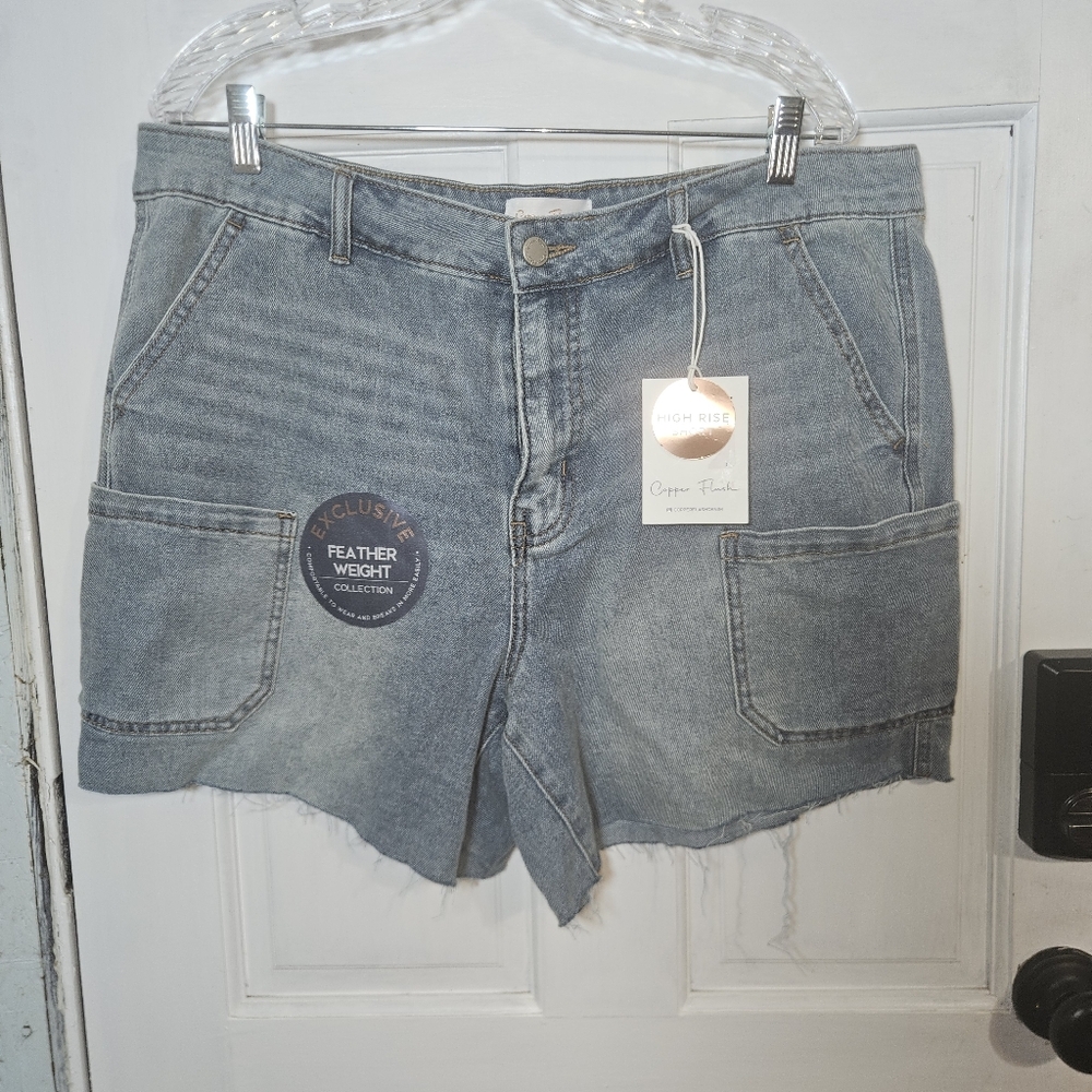 Highrise Denim Shorts Size 16